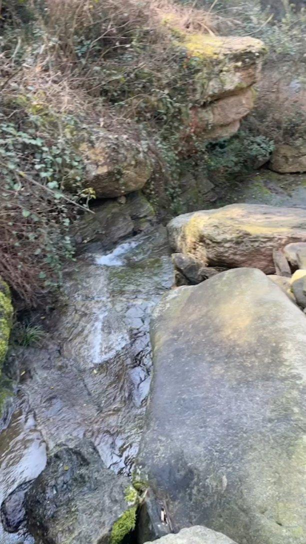 硕大的苹果