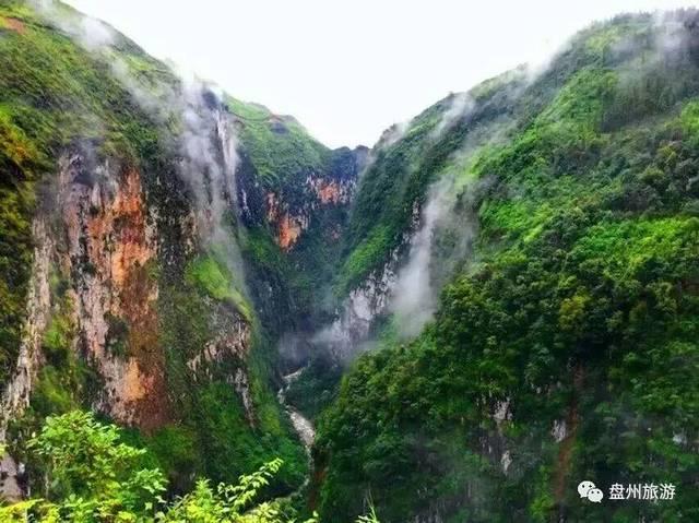 逃离宝藏岛屿