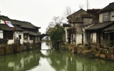 生化危机：浣熊市行动